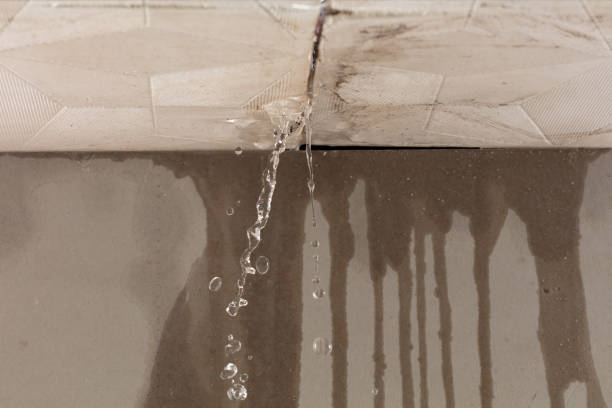 Professional Burst Pipe Cleanup technician working in Hodges, AL